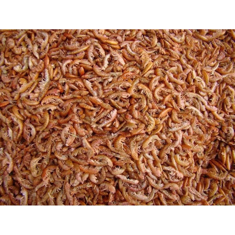 Tropical Gammarus alimento para reptiles, , large indicador imagen numero 3